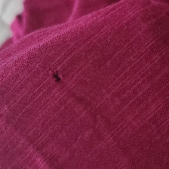 [Lane Bryant] Sheer Top Short Sleeve - Size 14/16 - Picture 8 of 10